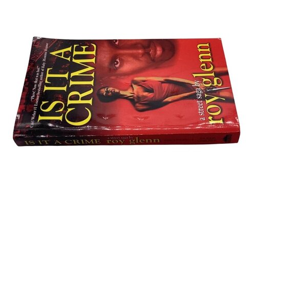 Is It A Crime A Street Saga By Roy Glenn 1999 Paperback Urban Books - Picture 12 of 15